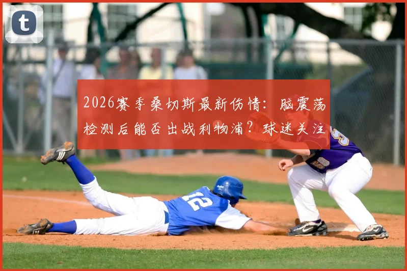 2026赛季桑切斯最新伤情：脑震荡检测后能否出战利物浦？球迷关注3大关键点